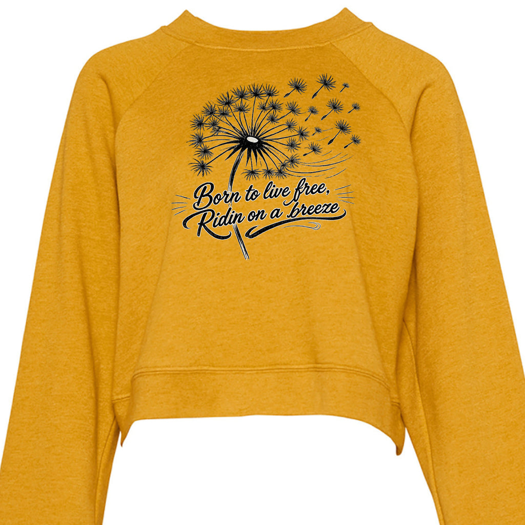 HEATHER MUSTARD - B7505 - FRONT